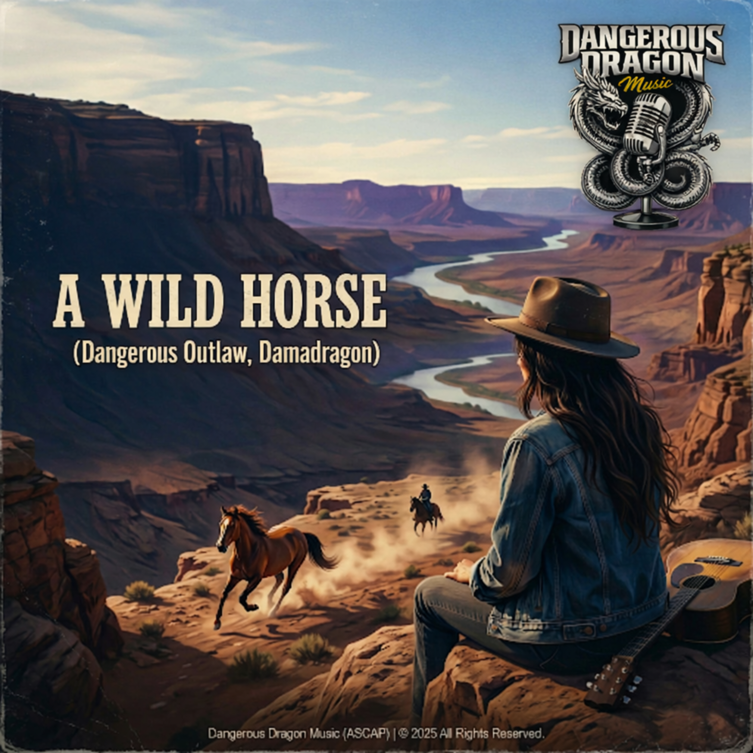 A Wild Horse